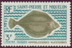 Colnect-875-190-American-Plaice-Hippoglossoides-platessoides.jpg