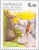 Colnect-149-144-Snow-Hare-Lepus-timidus.jpg