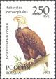 Colnect-2811-723-Bald-Eagle-Haliaeetus-leucocephalus.jpg