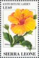 Colnect-4207-986-Hibiscus-Hibiscus-rosa-sinensis.jpg