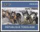 Colnect-5294-813-Husky-siberien.jpg