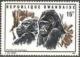 Colnect-5891-465-Gorilla-heads-Gorilla-beringei.jpg