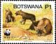 Colnect-6187-118-Brown-Hyena-Hyaena-brunnea.jpg