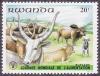 Colnect-1101-087-Zebu-Bos-primigenius-indicus-Watusi-Cattle-Bos-primigeni.jpg