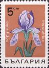 Colnect-3519-695-Iris-sibirica.jpg