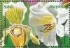 Colnect-3609-740-Paphiopedilum-insigne-sanderae-and-Lili%E2%80%A6.jpg