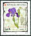 Colnect-5634-085-Iris-croatica.jpg