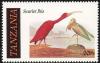 Colnect-783-910-Scarlet-Ibis-Eudocimus-ruber.jpg