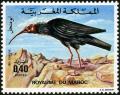 Colnect-1894-971-Northern-Bald-Ibis-nbsp-Geronticus-eremita.jpg