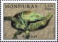 Colnect-3533-414-Green-Iguana-Iguana-iguana.jpg