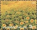 Colnect-4561-568-Flowers-in-the-Bua-Tong-Meadow.jpg