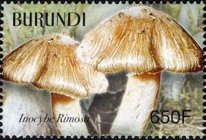 Colnect-1592-995-Inocybe-rimosa.jpg