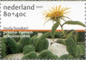 Colnect-182-238-Inula-hookeri.jpg