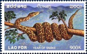 Colnect-2428-503-Year-of-the-Snake---Indian-Rock-Python-Python-molurus.jpg