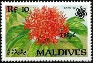 Colnect-3498-386-Ixora-coccinea.jpg