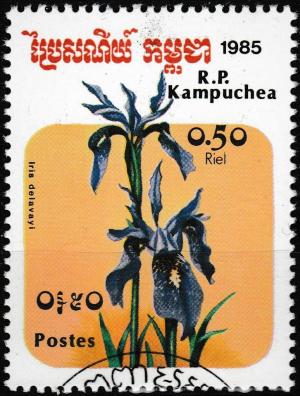 Colnect-4814-712-Iris-delavayi.jpg