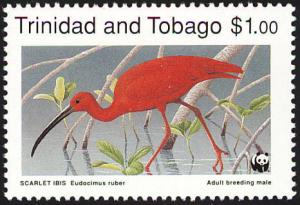 Colnect-744-227-Scarlet-Ibis-Eudocimus-ruber.jpg