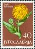 Colnect-5670-693-Inula-Belenium.jpg