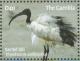 Colnect-1721-819-African-Sacred-Ibis-Threskiornis-aethiopicus.jpg