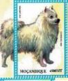 Colnect-5128-805-Japanese-Spitz.jpg