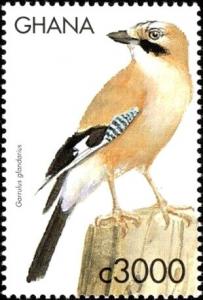 Colnect-6035-680-Eurasian-Jay-Garrulus-glandarius.jpg