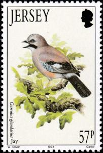 Colnect-6126-329-Eurasian-Jay-Garrulus-glandarius.jpg