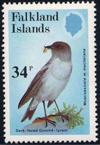 Skap-falkland_is_04_birds.jpg-crop-217x316at227-5.jpg