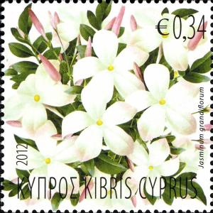 Colnect-1460-747-Jasmin-jasminum-grandiflorum.jpg