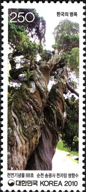 Colnect-1605-819-Pair-of-Chinese-junipers-of-Songgwangsa-Temple.jpg