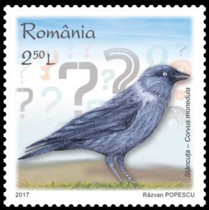 Colnect-3873-447-European-jackdaw-Corvus-monedula.jpg