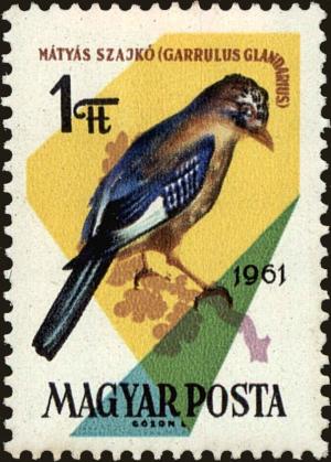 Colnect-4405-032-Eurasian-Jay-Garrulus-glandarius.jpg