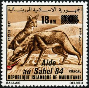 Colnect-998-934-Golden-Jackal-Canis-aureus.jpg