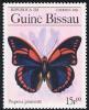 Skap-guinea_bissau_01_bflies.jpg-crop-162x198at164-199.jpg