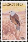 Colnect-1725-619-Black-Kite-Milvus-migrans.jpg