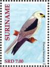 Colnect-3837-164-White-tailed-Kite%C2%A0%C2%A0%C2%A0%C2%A0Elanus-leucurus.jpg