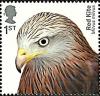 Colnect-5719-438-Red-Kite-Milvus-milvus.jpg