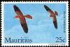 Colnect-760-723-Mauritius-Kestrel-Falco-punctatus.jpg