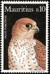 Colnect-760-726-Mauritius-Kestrel-Falco-punctatus.jpg