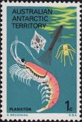 Colnect-4699-210-Antarctic-Krill-Euphausia-superba.jpg