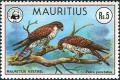 Colnect-756-274-Mauritius-Kestrel-Falco-punctatus.jpg