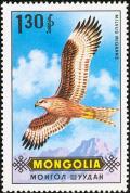 Colnect-859-468-Black-Kite-Milvus-migrans.jpg