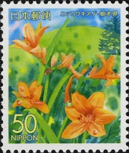 Colnect-3988-324-Nikko-Day-Lily---Kirifuri-Heights---Tochigi-Pref.jpg