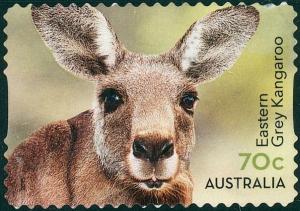 Colnect-2778-810-Eastern-Grey-Kangaroo-Macropus-giganteus.jpg