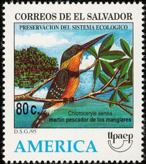 Colnect-2879-641-American-Pygmy-Kingfisher-Chloroceryle-aenea.jpg