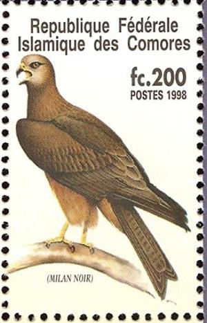 Colnect-3669-530-Black-Kite%C2%A0Milvus-migrans.jpg