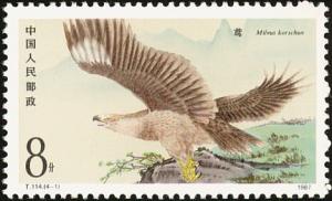 Colnect-4048-384-Black-Kite-Milvus-migrans.jpg