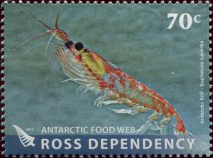 Colnect-4382-388-Antarctic-Krill-Euphausia-superba.jpg