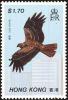 Colnect-1691-556-Black-Kite-Milvus-migrans.jpg