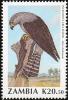 Colnect-864-855-Dickinson-s-Kestrel-Falco-dickinsoni.jpg