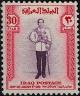 Colnect-1572-546-King-Faisal-II.jpg